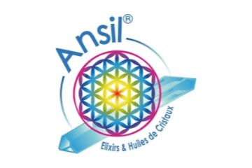 Logo Ansil